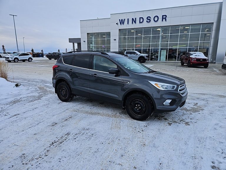 2019 Ford Escape